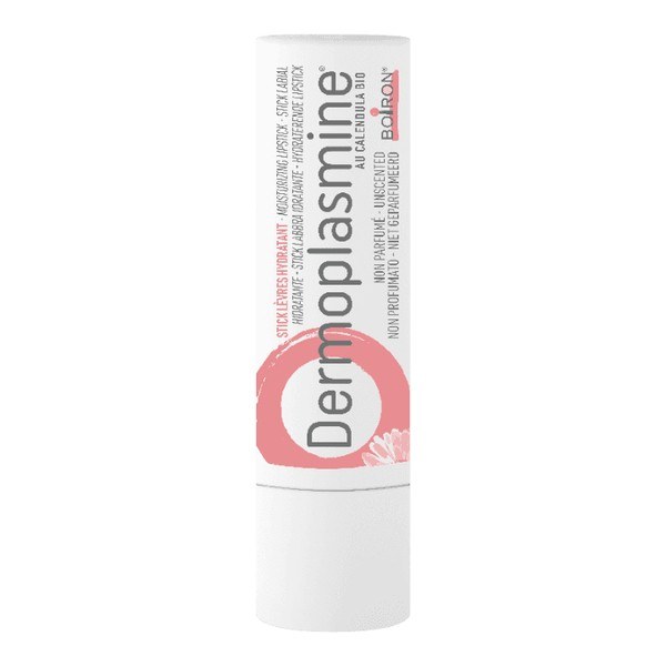 DERMOPLASMINE STICK LEVRE HYD 4G