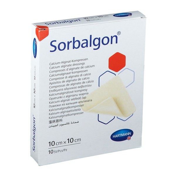 SORBALGON COMPRESSE 10X10CM 10
